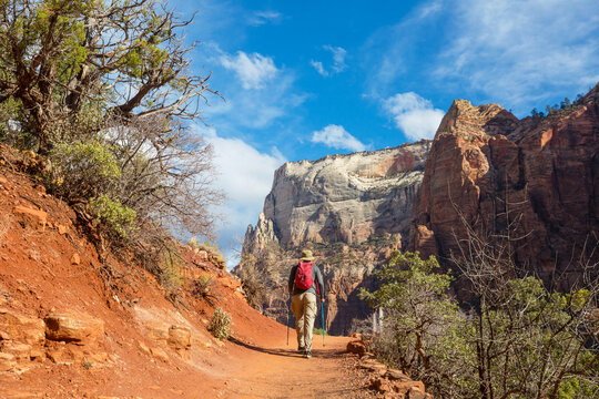 Hike in Zion