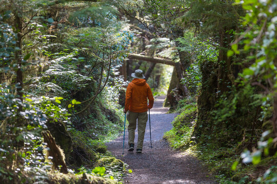 Hike in the forest