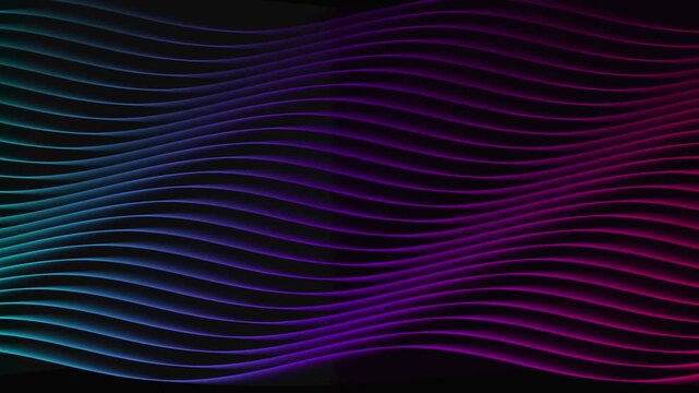 Abstract wave lines flowing seamlessly in cyan blue and purple neon lights on black background
