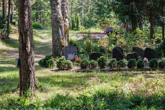 Graves and headstones in a forest cemetery in Kemeri National Park, Latvia