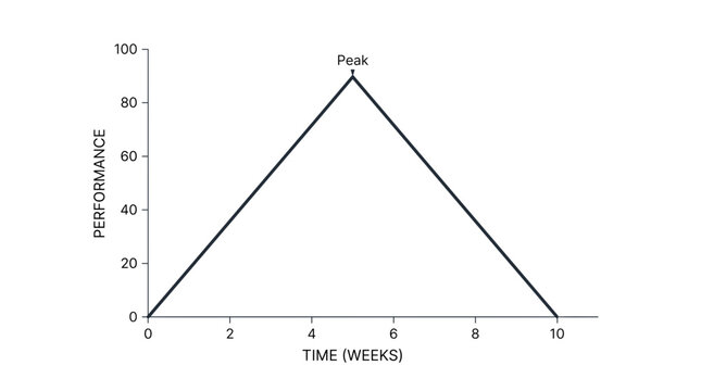 Performance chart shows a peak point.