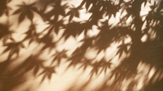 Maple Leaf Shadow Overlay on Beige Textured Background