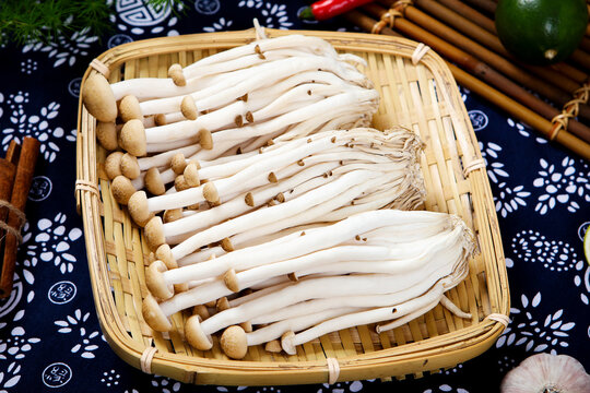 Fresh brown shimeji mushrooms raw edible fungi