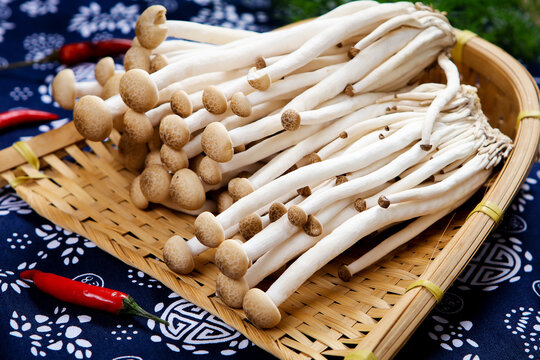 Fresh brown shimeji mushrooms raw edible fungi