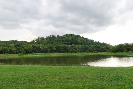 Rayong, Thailand &ndash; August 23, 2025: Wangchan Forest Learning Center using the Miyawaki method, with diverse native trees planted densely and randomly around a lush lawn, calm reservoir, and forest bac