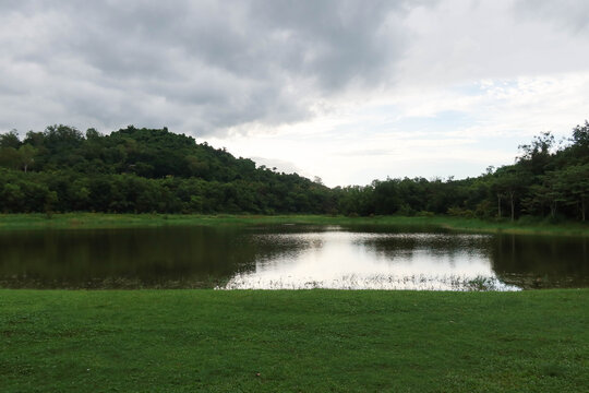 Rayong, Thailand &ndash; August 23, 2025: Wangchan Forest Learning Center using the Miyawaki method, with diverse native trees planted densely and randomly around a lush lawn, calm reservoir, and forest bac