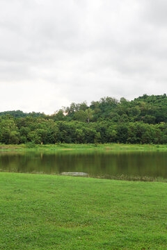 Rayong, Thailand &ndash; August 23, 2025: Wangchan Forest Learning Center using the Miyawaki method, with diverse native trees planted densely and randomly around a lush lawn, calm reservoir, and forest bac