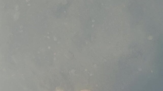 Person's bare foot stepping through cloudy water in a river, stream, or lake. Exploring nature with shallow immersion