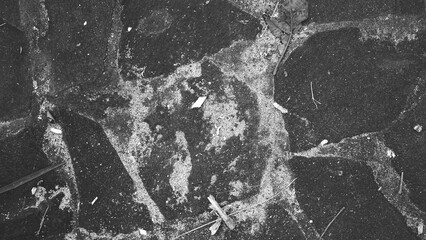 Fototapeta premium Dark black and white stone surface texture with rough grain, weathered cracks, scattered debris, and a single dried leaf as a natural accent.