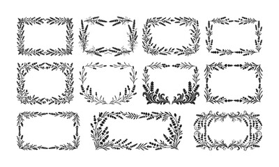 Fototapeta premium Hand Drawn Floral Frames Vector Set with Botanical Wreaths and Leafy Borders