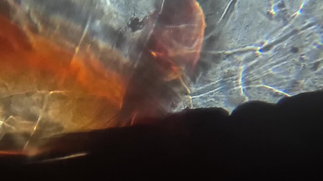 Abstract macro footage of colorful light refraction shifting through a glass marble lens.