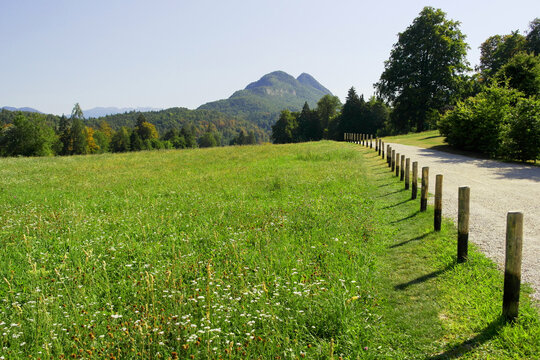 Scenic view of a lush green meadow and gravel path bordered by wooden posts in Val di Sella near Arte Sella (SELLA ART), Trentino, Northern Italy, with mountains in the background under a sunny