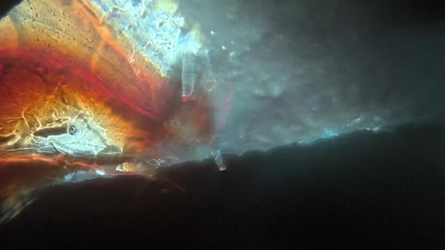 Abstract macro footage of colorful light refraction shifting through a glass marble lens.