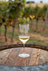 Naklejka premium Wine tasting experience in a vineyard, white wine glass on a rustic barrel, viticulture and winemaking industry