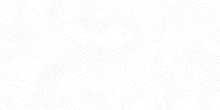 Abstract white background featuring a detailed topographical contour map line pattern background abstract topography elevation geographic cartography navigation minimalist geometric backdrop