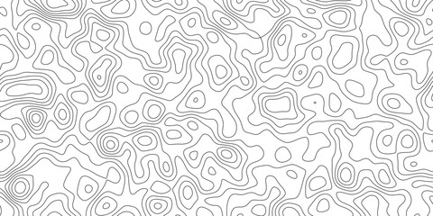 Fototapeta premium Minimal abstract topographic line art background, geographic mapping lines with smooth organic curves, for backdrop, packaging and web design.