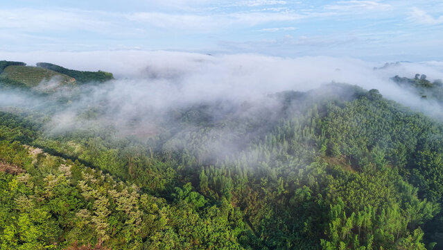 Aerial view of mountains and forest on cloudy morning