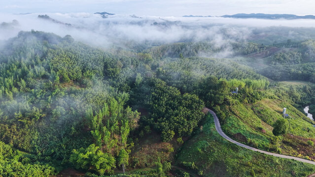 Aerial view of mountains and forest on cloudy morning