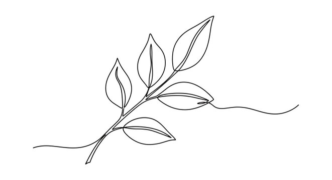 Elegant minimalist line art illustration of a delicate leafy branch emphasizing simplicity and natural grace
