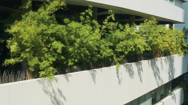 Modern building with lush green bamboo landscaping integrated into contemporary architecture in Bangkok, Thailand. Sustainable design, green infrastructure, biophilic development