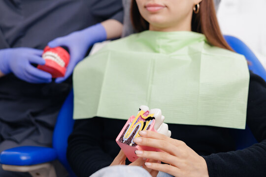 Female patient holding tooth model caries and pulpitis of nerve canal in clinic at dentist office for oral health education