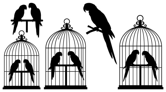 Decorative silhouettes of tropical parrots perched inside ornate birdcages isolated against a clean white background
