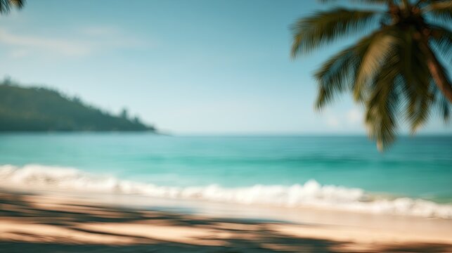 Soft focus view of a tropical beach with palm trees and blue ocean