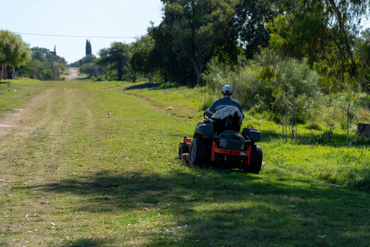Rear view of a worker riding a zero-turn lawn mower cutting green grass outdoors