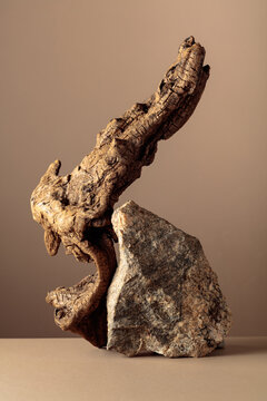 Old dry wooden snag and large crushed granite stone on a beige background.