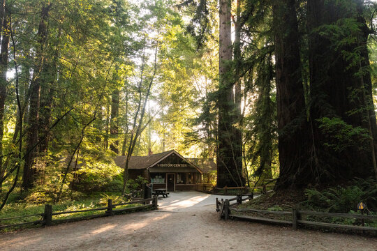 Henry Cowell Redwoods State Park visitor center nestled among monumental old growth trees