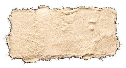 Fototapeta premium Torn paper texture on black background