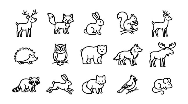A delightful collection of simple black and white line art illustrations showcasing a variety of north american forest creatures and wildlife