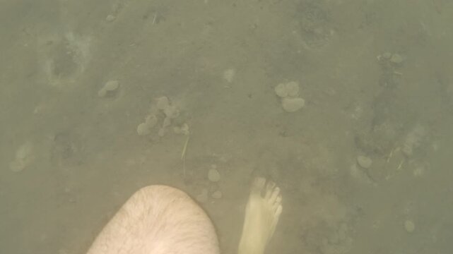 Person's legs and feet submerging in unclear, shallow water with sediment, showing low visibility and an uninviting environment