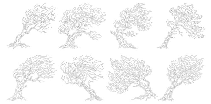 Windblown tree vector set, 8 hand drawn leaning trees in storm, weathered coastal oak and pine sketches, isolated nature line art