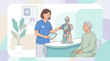 Fototapeta premium Doctor Explains Anatomy Model To Patient