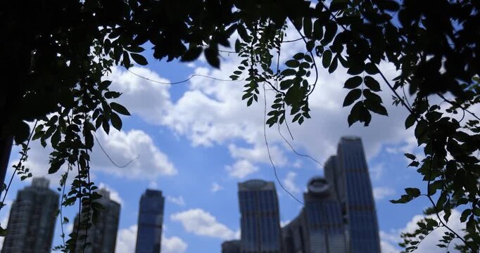  The Raffles City Chongqing landscape in Chongqing city, China