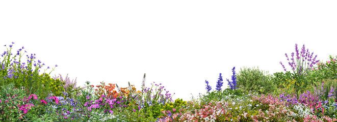 Fototapeta premium foreground flower gardens and meadows on a transparent background.