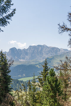  Alpine mountain range seen through evergreen trees in the Italian Dolomites