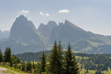 Obraz premium Dramatic Dolomite peaks rising above alpine forest and meadows in northern Italy