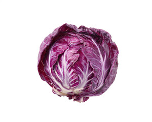 Obraz premium Fresh purple cabbage head close up against white studio background with wrapped leaves captured with vegetablehead