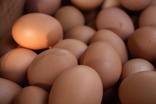 Brown eggs fill wooden crates, piled high. Close-up shows smooth, rounded, natural egg shells. Farm setting suggests fresh, local produce. , no emotion shown. Ideal for food, agriculture