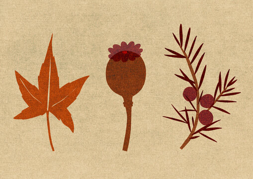 Fall leaves berries and winter seed pods
