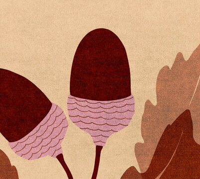 Acorn illustration