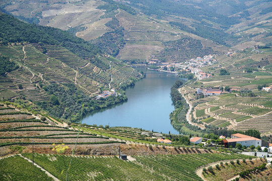 Panoramic view of Pinhao town and Douro River surrounded by terraced vineyards