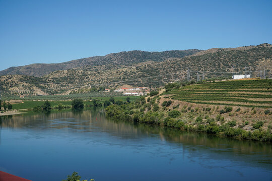 Terraced vineyards along Douro River in Pocinho region Portugal