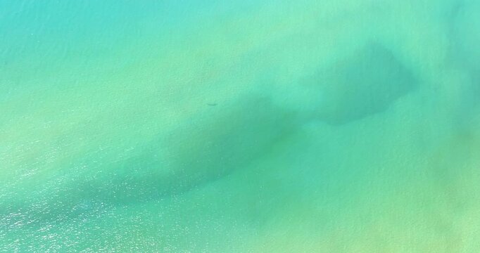 Aerial top down view of turquoise sea water with soft sunlight reflections, gentle ripples and a natural color gradient, calm ocean surface texture. Ideal for pattern and background.