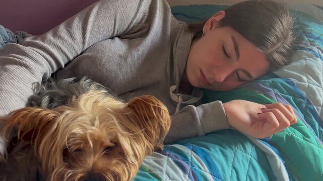 An adorable Yorkshire Terrier dog sleeps next to its relaxed owner, creating a charming scene of companionship and affection.