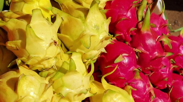 Dragon fruit or pitaya in market.