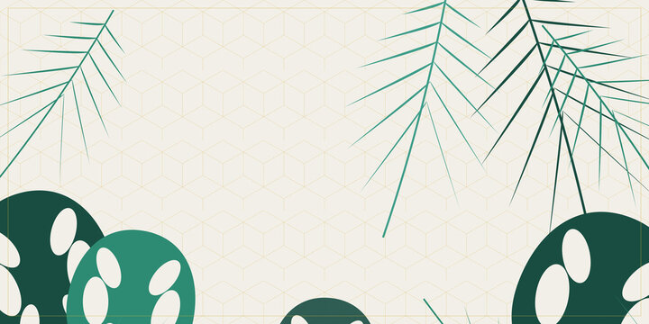 Minimalist tropical leaves and geometric patterned background frame on transparent background