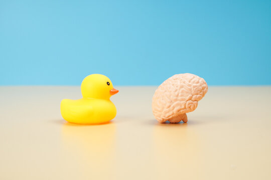 Yellow rubber duck beside a human brain model on blue background, representing curiosity, learning, playful thinking, cognitive development, intelligence and creative ideas.